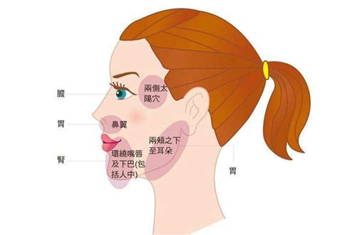 痘痘位置代表什么|脸上长痘痘的位置图 面部不同位置长痘痘的原因